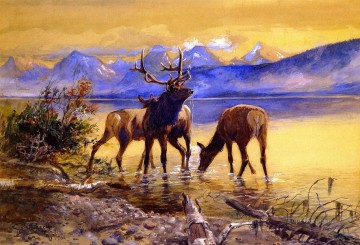 Animal Painting - Alce en el lago McDonald 1906 Charles Marion Russell ciervo